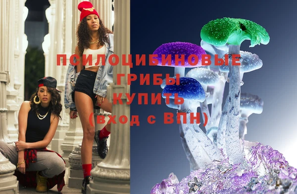эйфоретик Кукмор