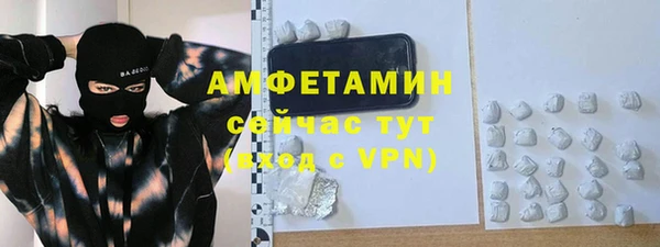 прущие грибы Краснотурьинск