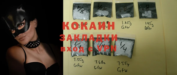 прущие грибы Краснотурьинск