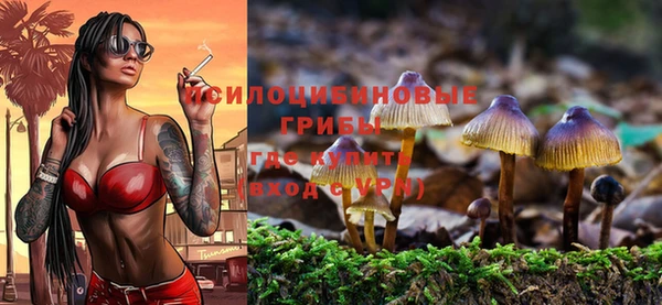 прущие грибы Краснотурьинск