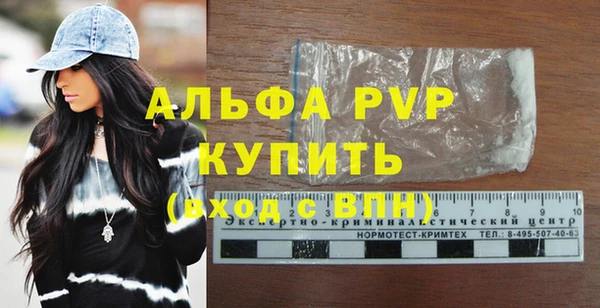 прущие грибы Краснотурьинск