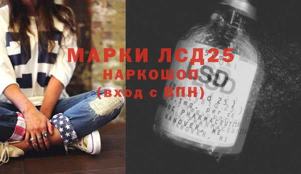 эйфоретик Кукмор