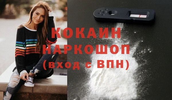 прущие грибы Краснотурьинск