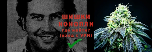 прущие грибы Краснотурьинск