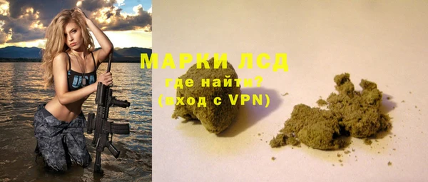 прущие грибы Краснотурьинск
