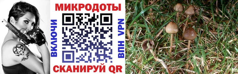 ОМГ ОМГ ТОР  Волгодонск  Галлюциногенные грибы мухоморы 