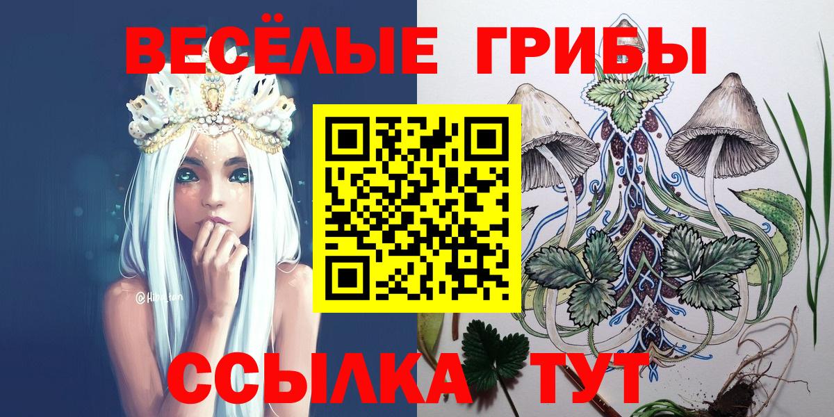 Псилоцибиновые грибы Psilocybine cubensis  Вход с VPN  Псилоцибиновые грибы GOLDEN TEACHER  Волгодонск 